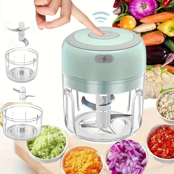 Mini Electric Food Processor
