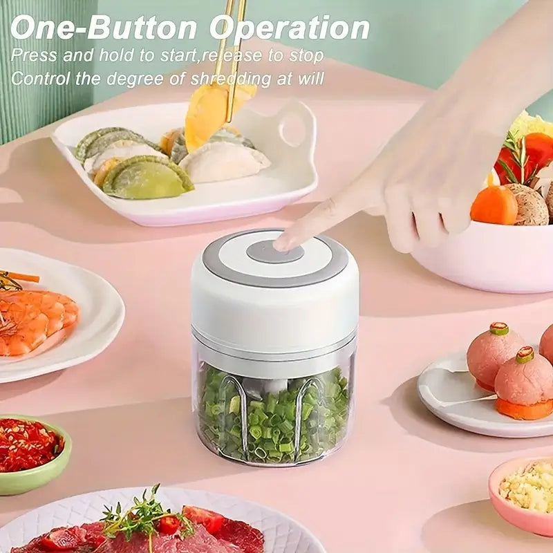 Mini Electric Food Processor